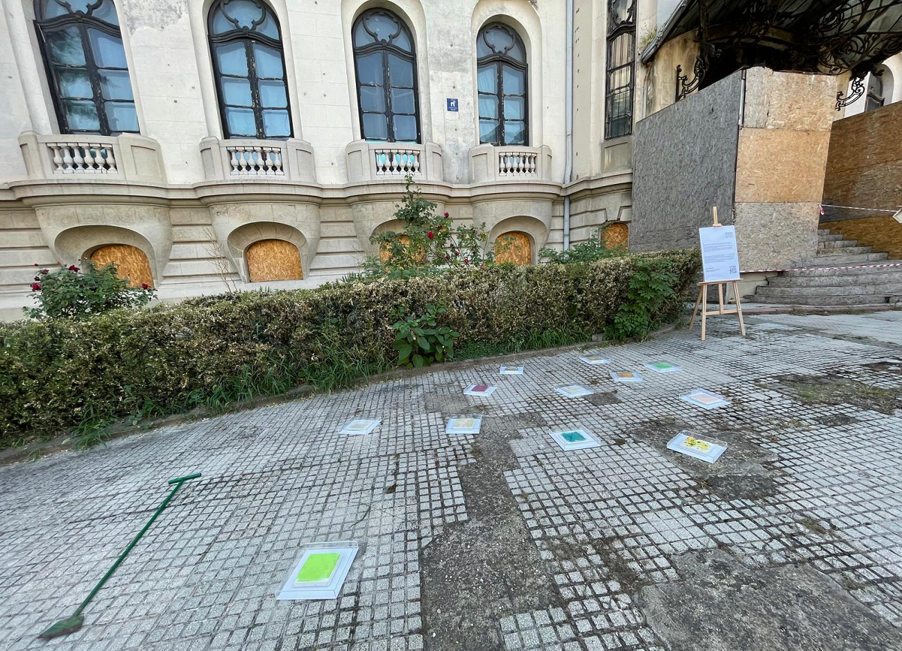 seeds, adrian dica, muzeul enescu, curatorial