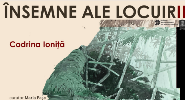afis insemne ale locuirii