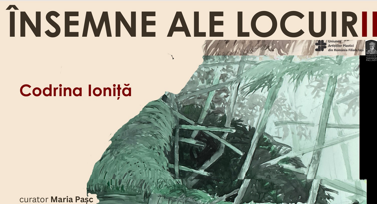 afis insemne ale locuirii
