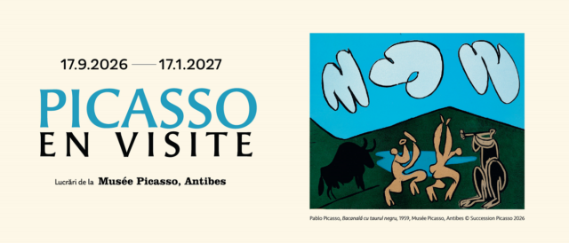 picasso en visite, timisoara, art encounters