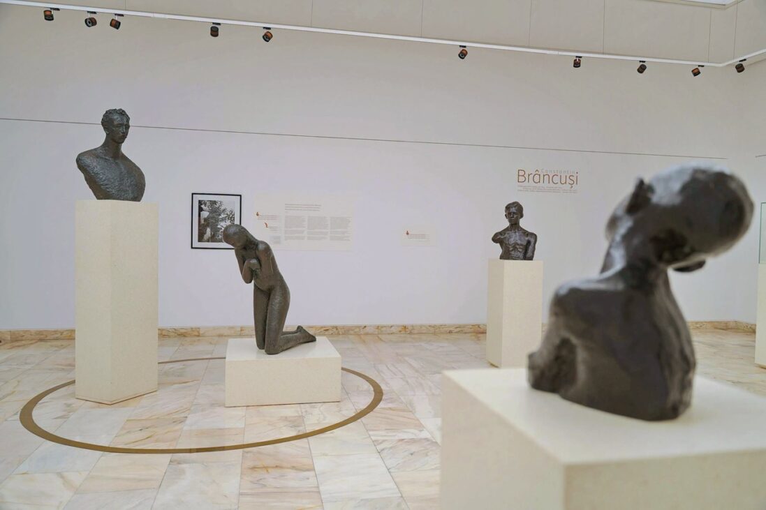 sala brancusi