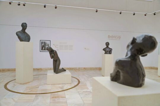 sala brancusi