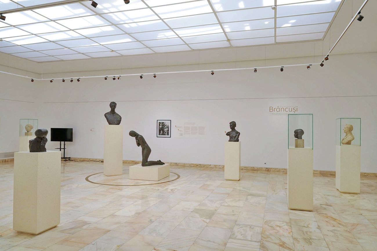sala brancusi2