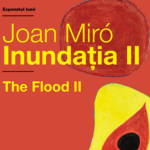 afis exponatul lunii miro, 2026, mnir