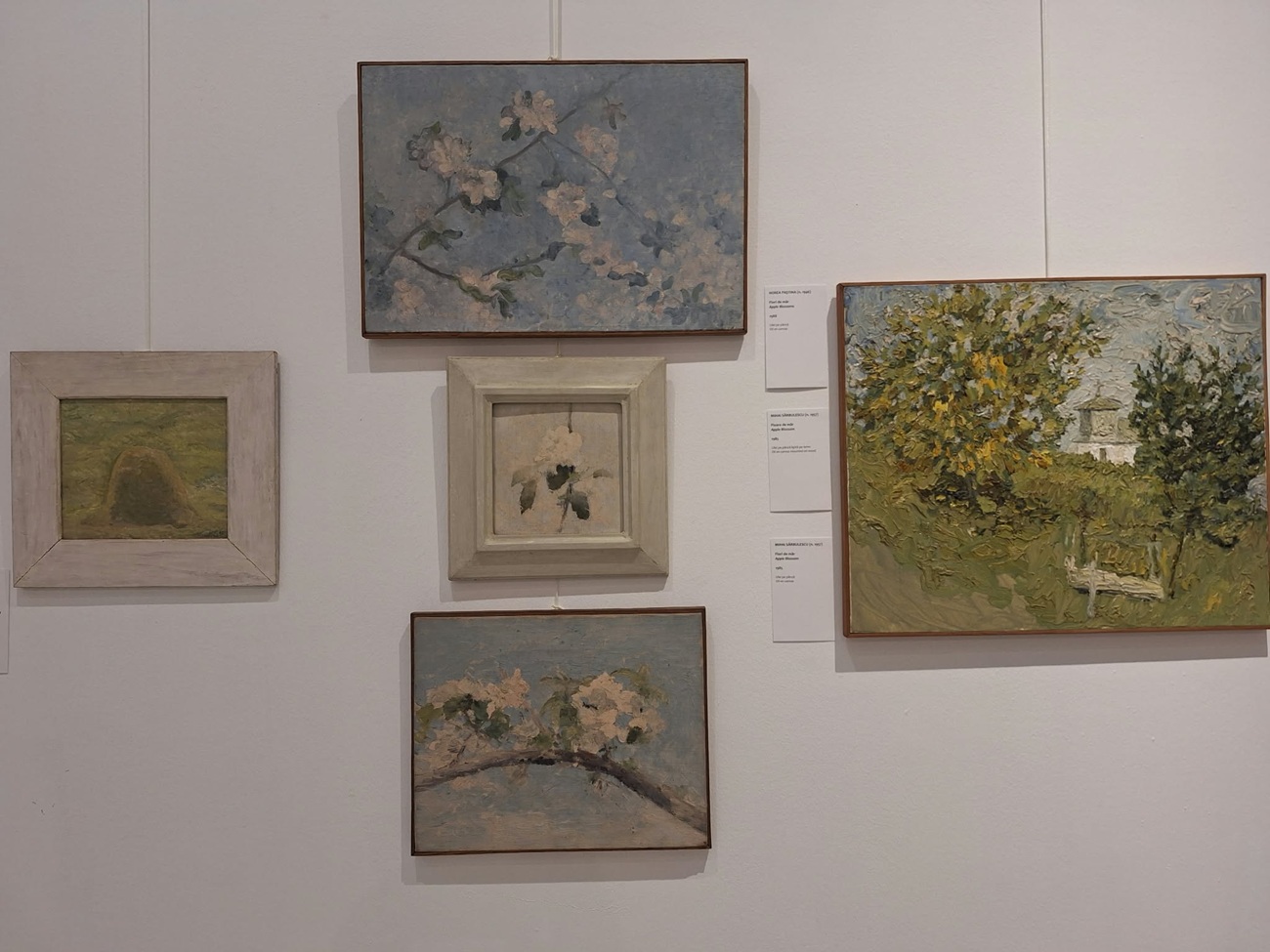 de garda, curatorial