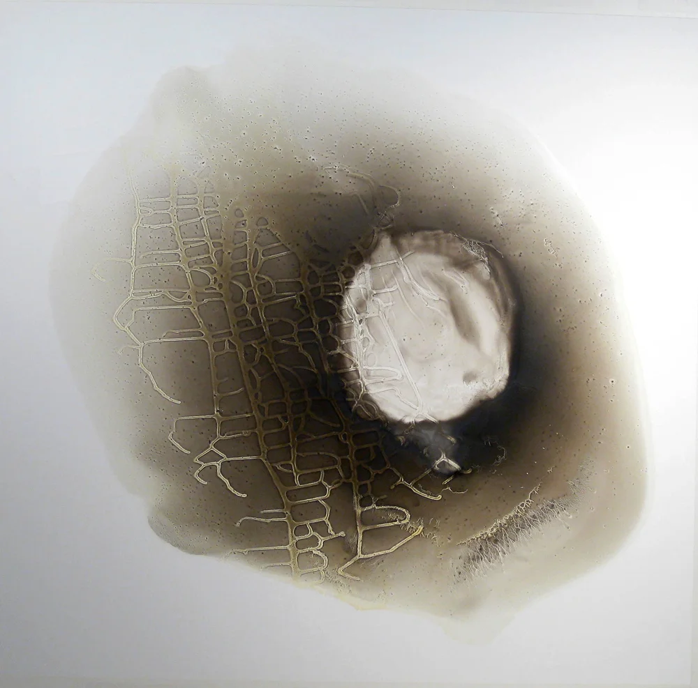lilly fenichel, work 9, 2015