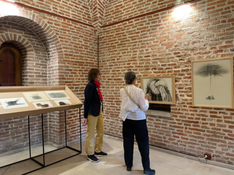 marcela radulescu, cotroceni, curatorial 5