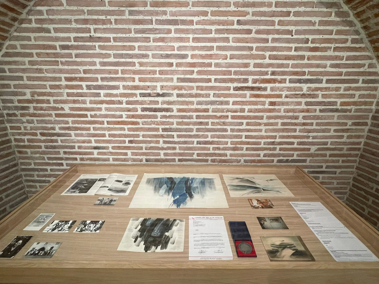 marcela radulescu, cotroceni, curatorial 7