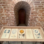 marcela radulescu, cotroceni, curatorial 8