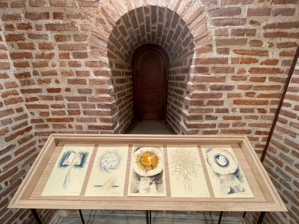 marcela radulescu, cotroceni, curatorial 8