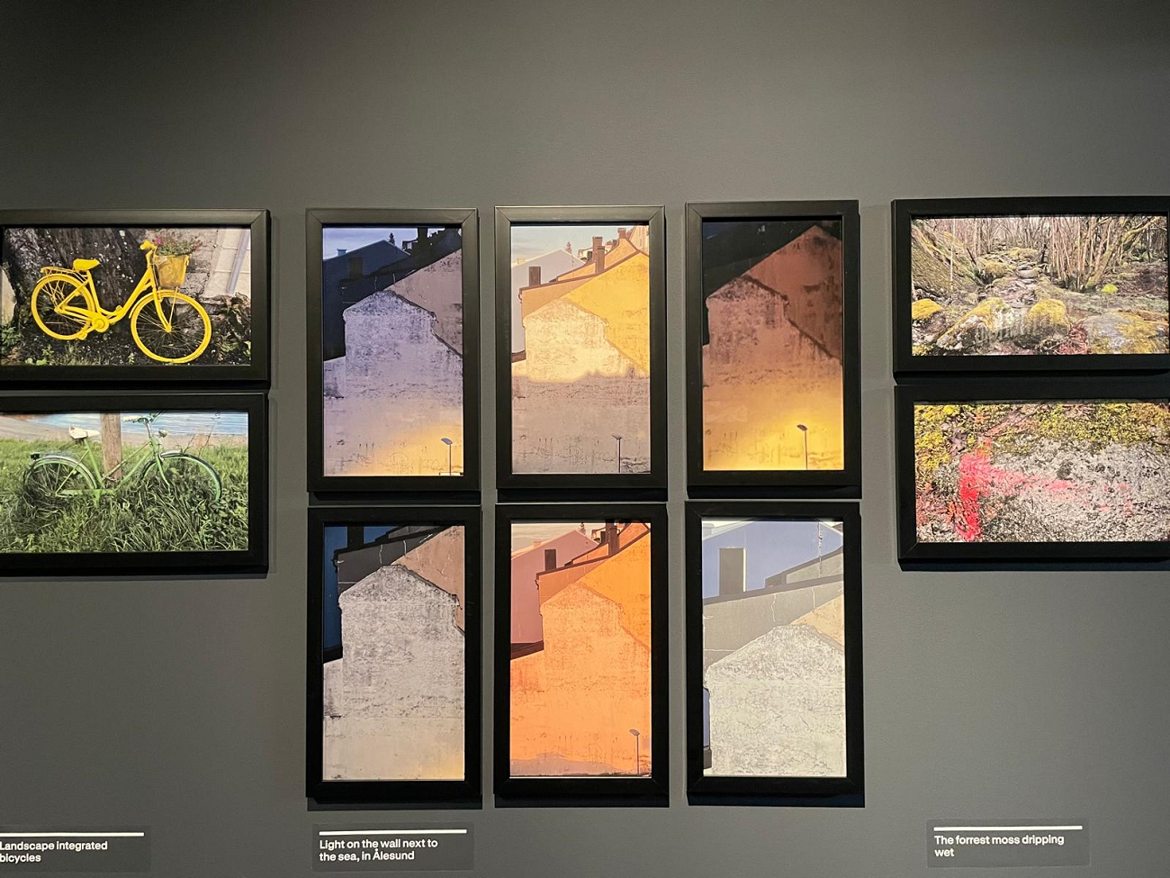 mungiu, fjord, curatorial 1
