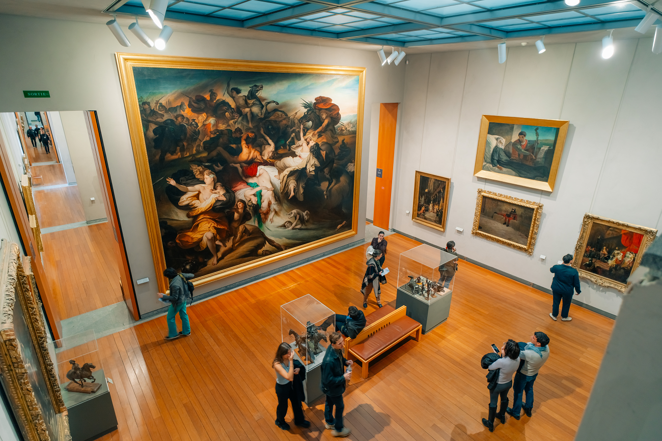 muzeul de arta lyon, shutterstock, curatorial