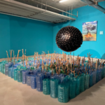 noua clima, art safari 2026, curatorial