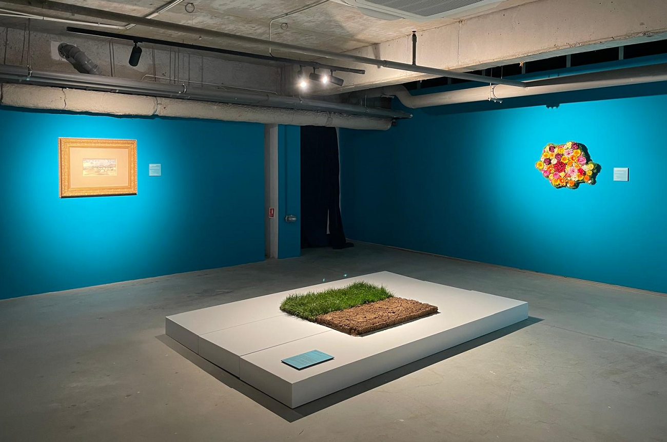 noua clima, art safari 2026, curatorial 2