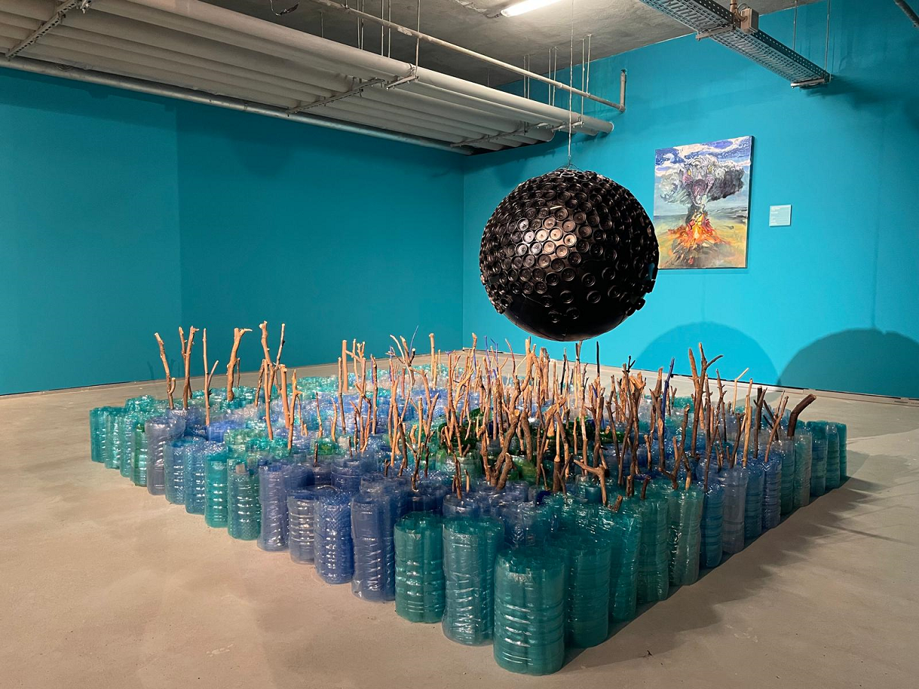 noua clima, art safari 2026, curatorial