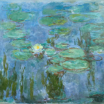 nympheas, nuferi, monet