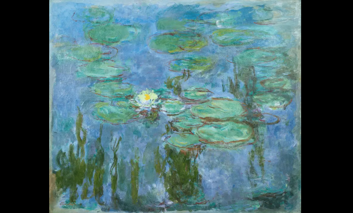nympheas, nuferi, monet