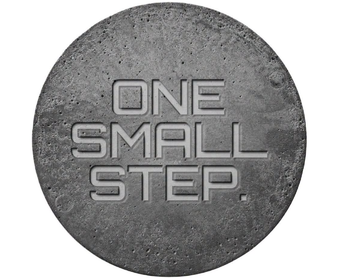 one small step, adrian piorescu