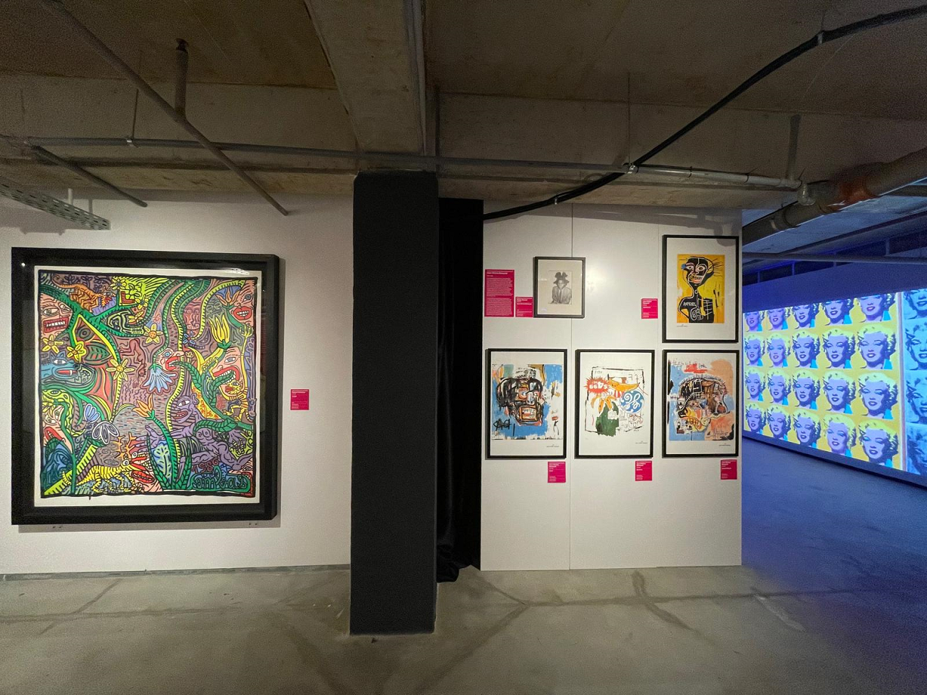 pop art, art safari 2026, curatorial 2