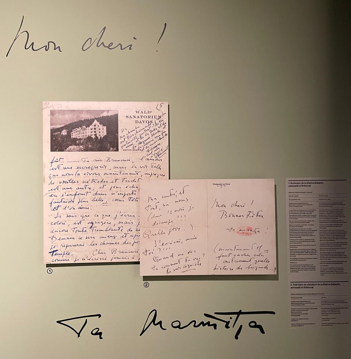 scrisoare de la marina Șalapin pentru brâncuși, art safari 2026, curatorial