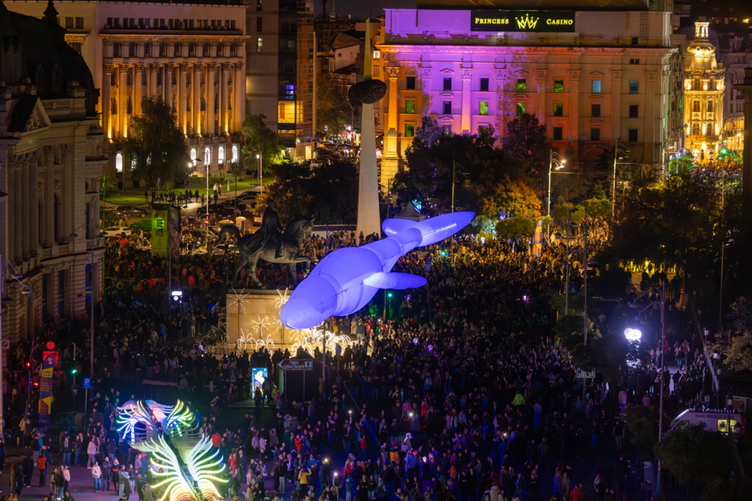 festival spotlight