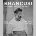 afis expozitie brancusi fotografie targu jiu