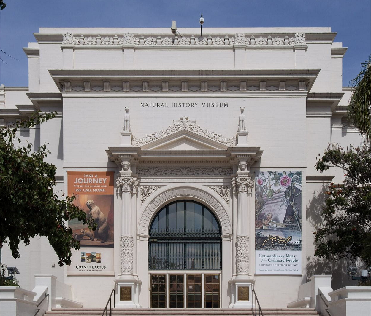 american museum of natural history, new york