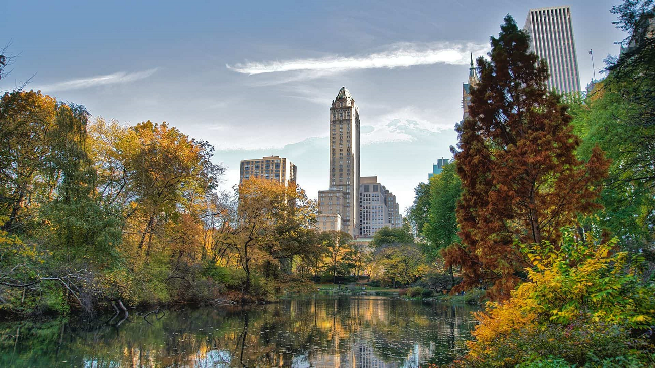 central park, new york