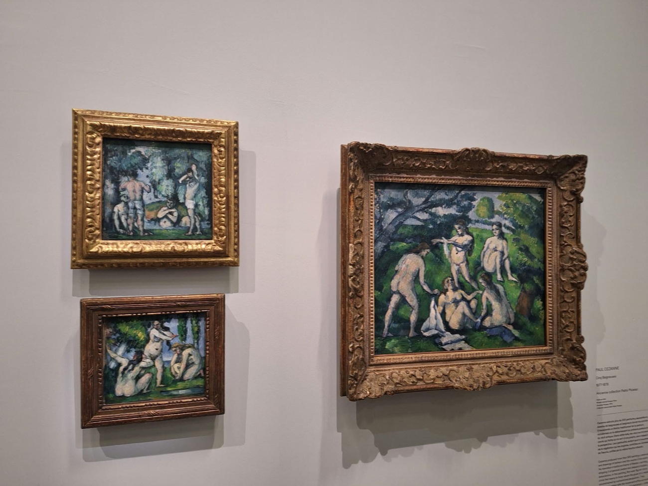 cezanne et nous0, curatorial