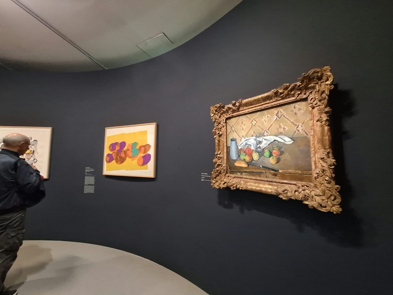 cezanne si warhol, curatorial