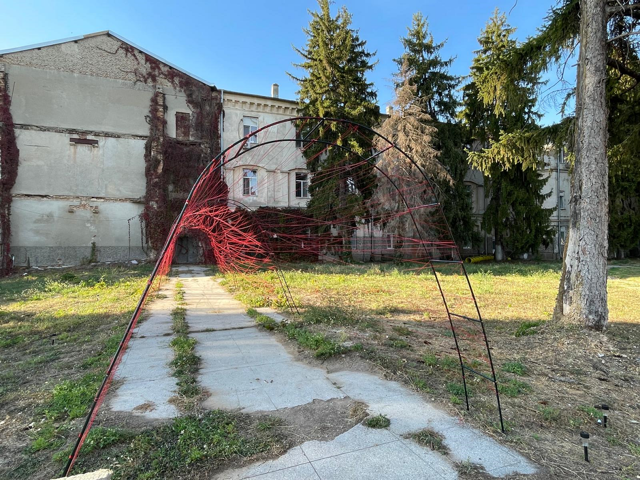 coridorul fantomă, zoltan bela, curatorial
