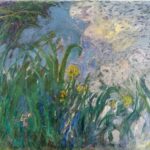 iris, monet