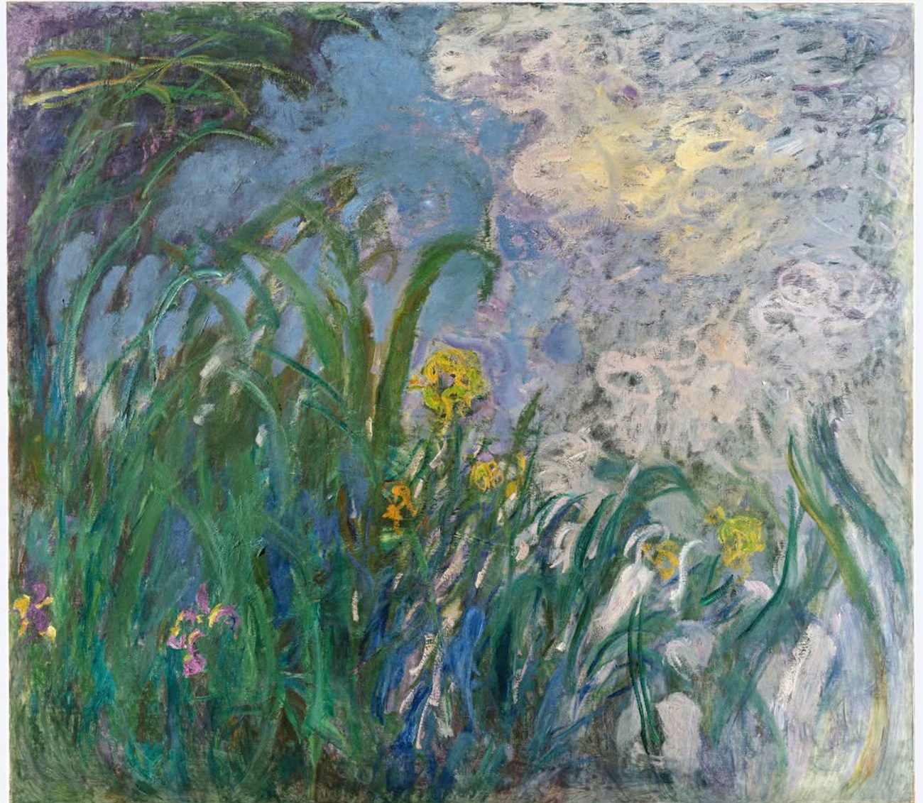 iris, monet