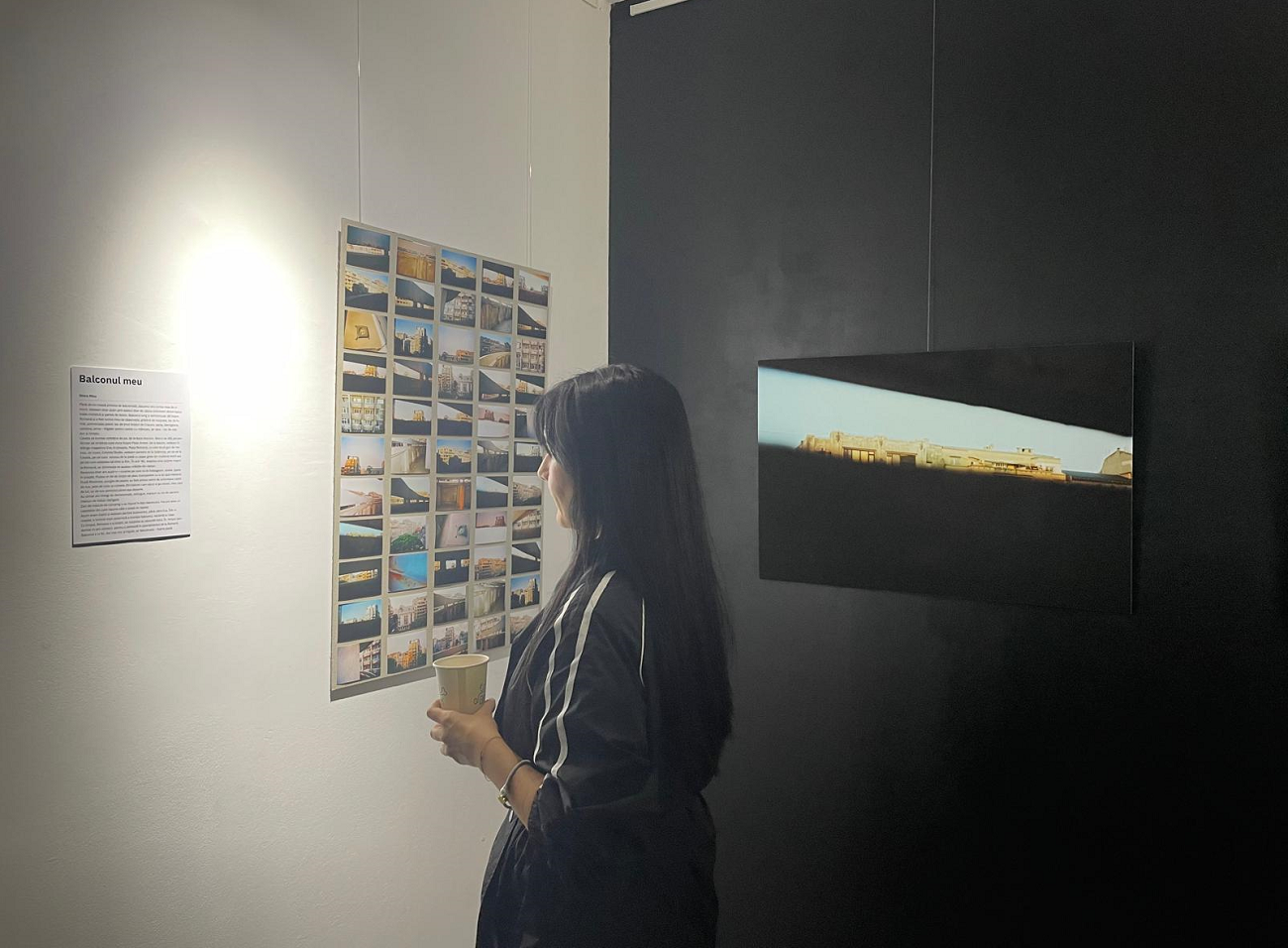 la romana, curatorial 1