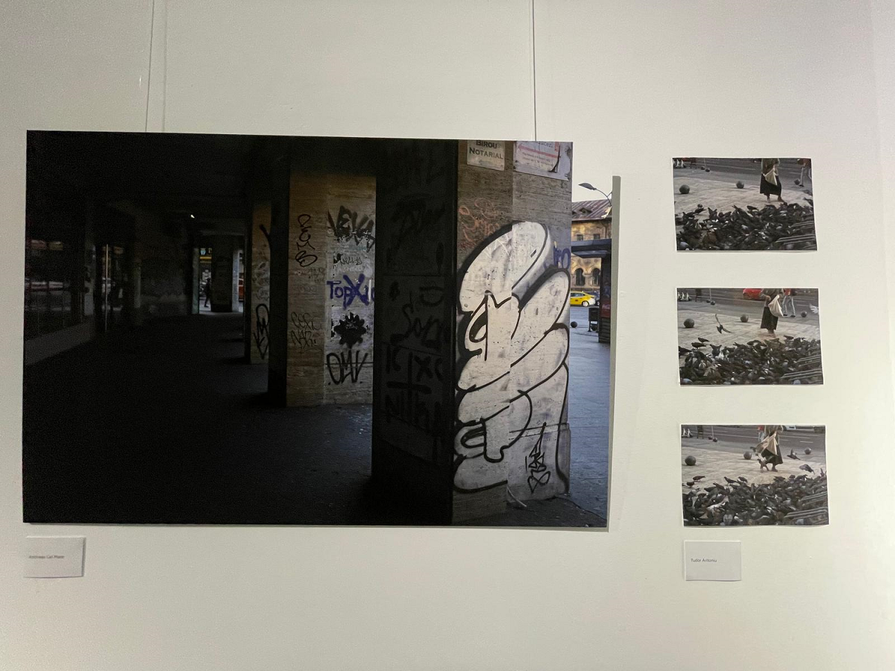 la romana, curatorial 5