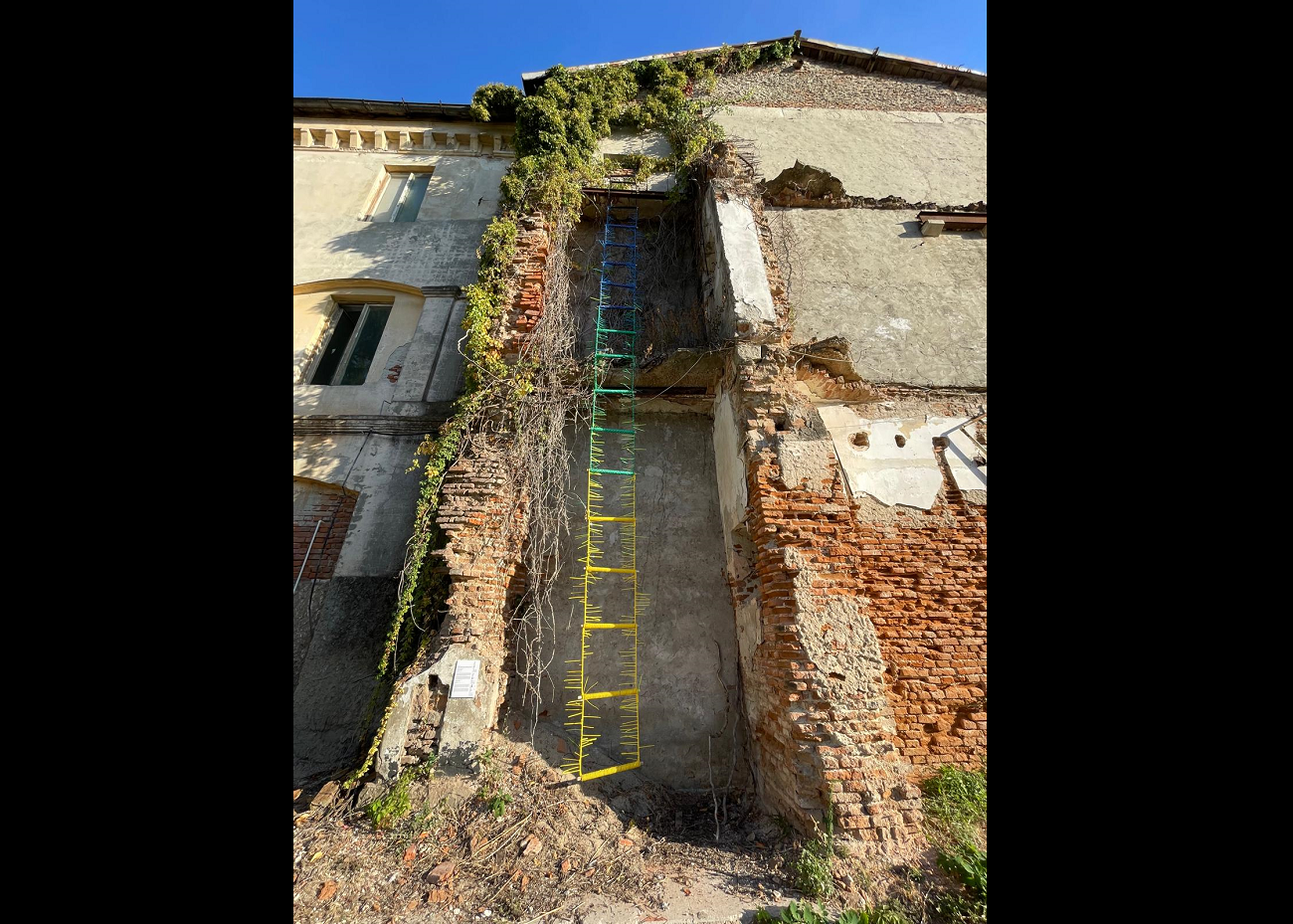 o lume nouă, mihaela moldovan, curatorial