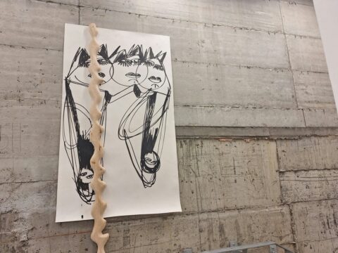 curatorial, dumitru gorzo, indeplinirea tuturor dorintelor6