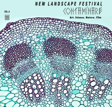 new landscape festival