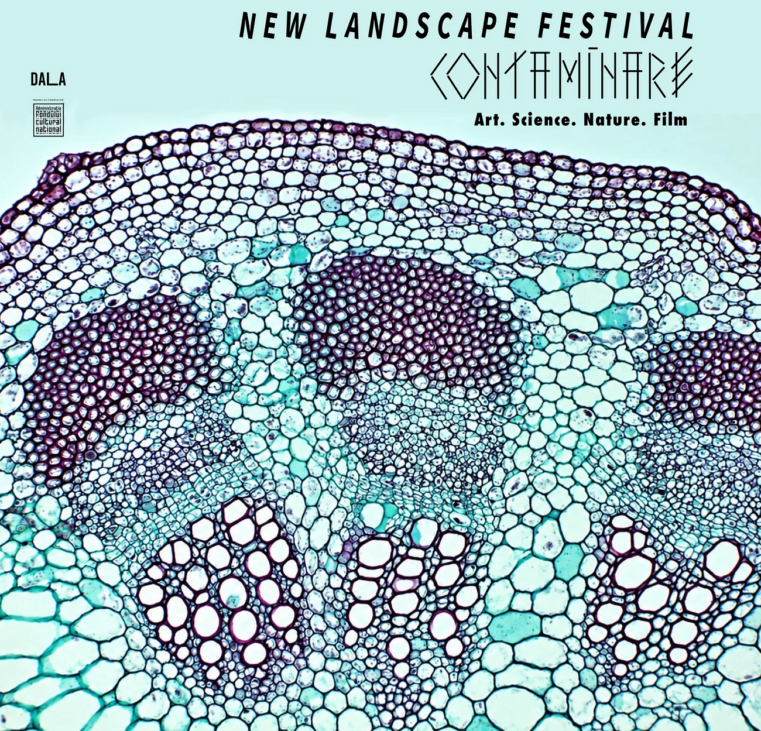 new landscape festival