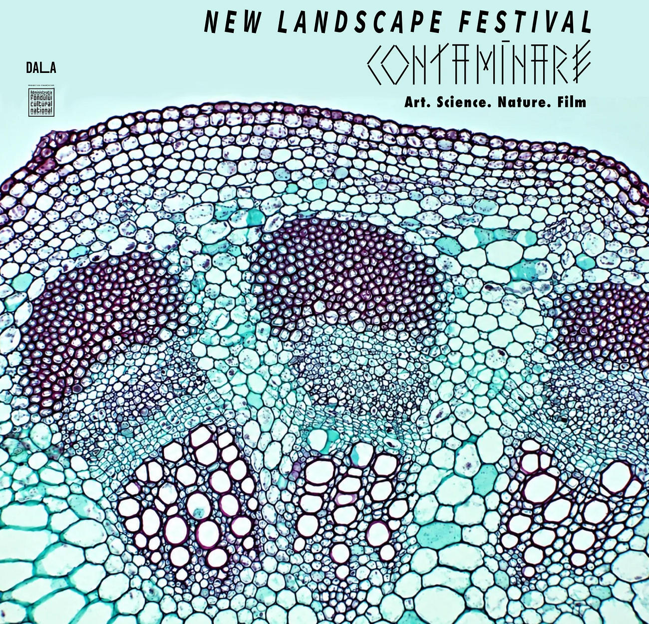 new landscape festival