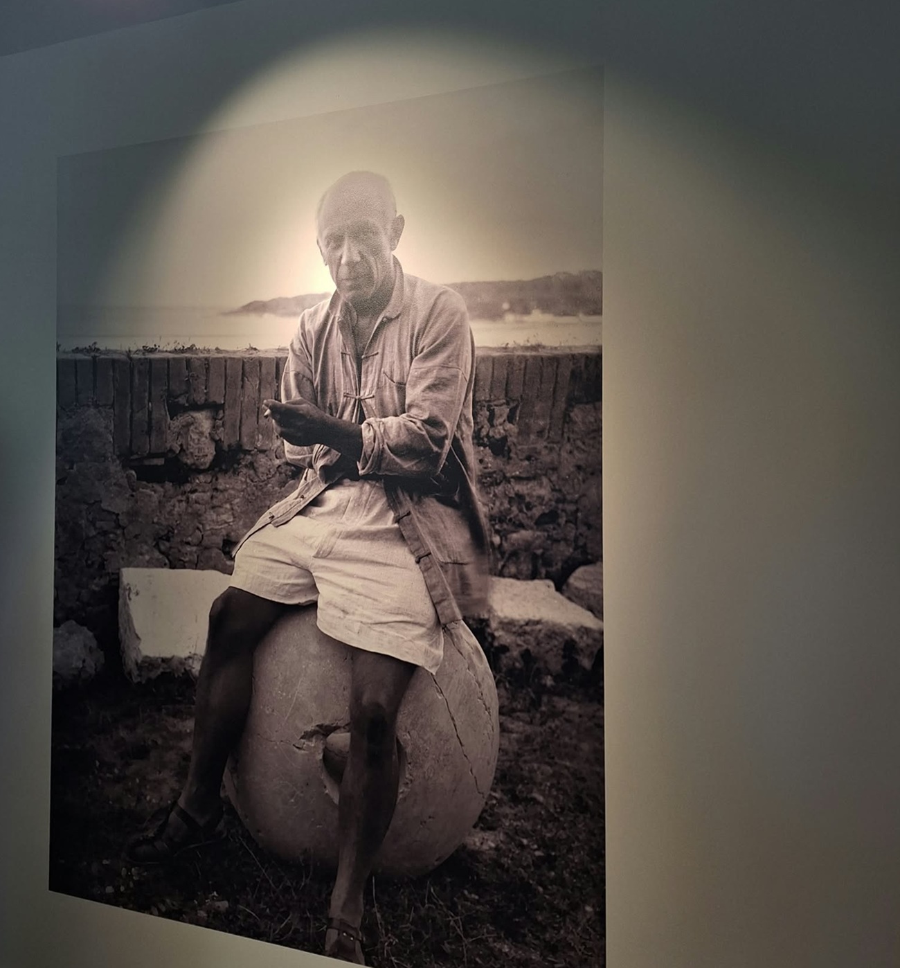 picasso en visite1